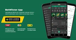 Comprehensive Customer Support at BetWinner FR