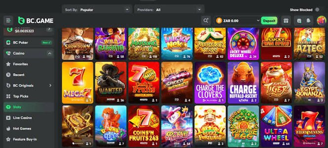 A Comprehensive Guide to the BCGameBet Platform